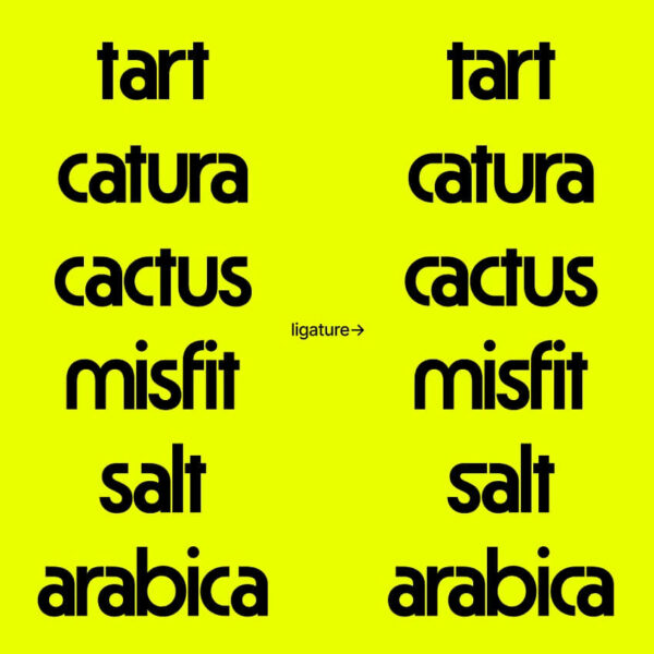 Explore the intricate fonts used by Yihuang Zhou in the award-winning design for Caston Coffee Roasters.