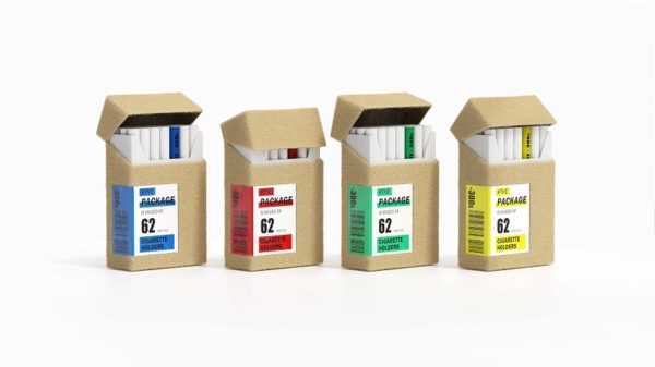 -300s by Beijing Institute of Technology