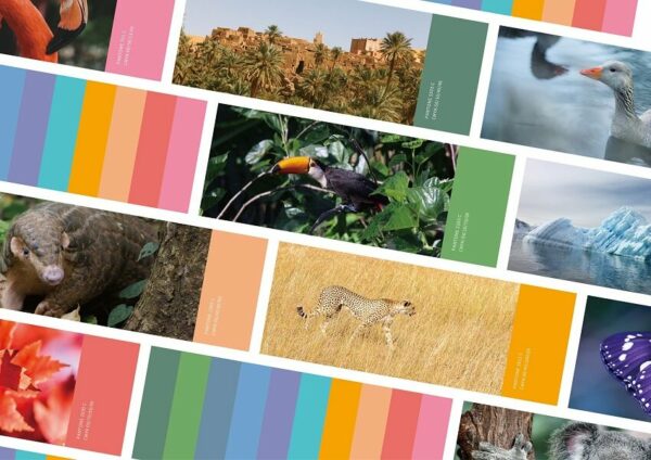 Updated visual presentation of Taipei Zoo, showcasing the design transformation led by Wei Tang Feng.