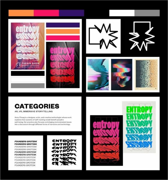 A comprehensive view of Shristi Singh's "Entropy" project presentation