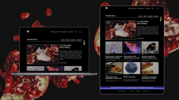 Othermatter online platform on desktop and tablet devices