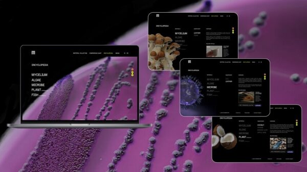 Showcase of various pages on the Othermatter platform