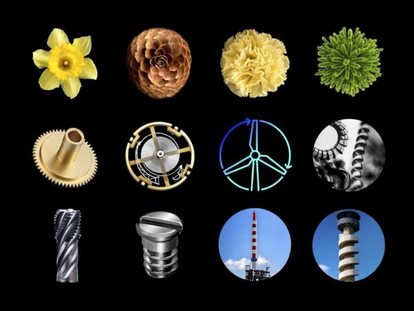 Icons and inspirations for the Grand Chasseral logo