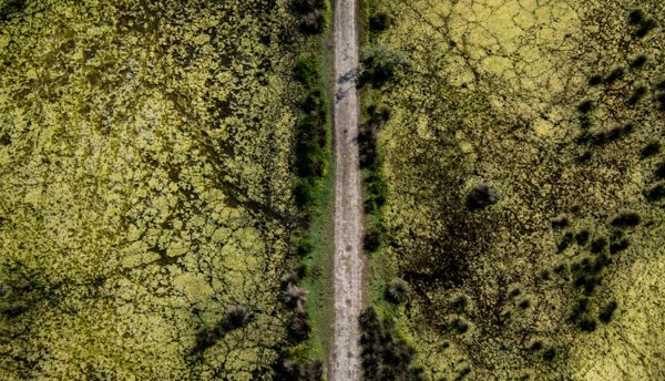 Andrea Bonavita, MIFA Pro Photographer of the Year 2015