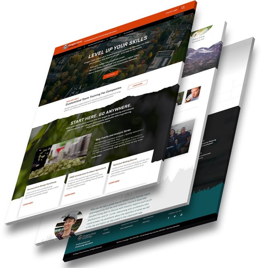 A 3D model showcasing the innovative website designs by Liz Mac Intyre from Web Canopy Studio