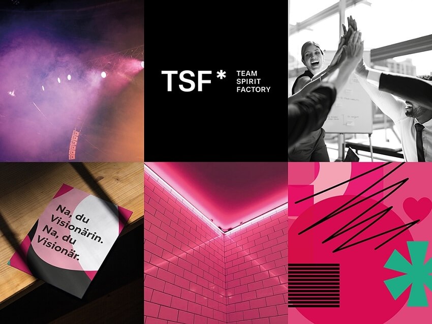 TSF* Team Spirit Factory Project