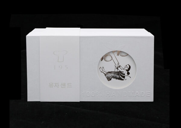 Front view of the award-winning Korea 195 Grapefruit Biscuit Packaging Design by Jian Sun