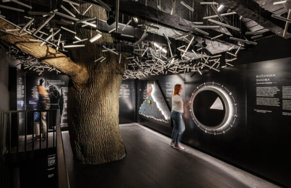 Museum exhibition featuring the tree as a central showcase element