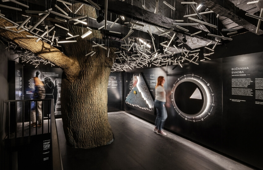 Museum exhibition featuring the tree as a central showcase element